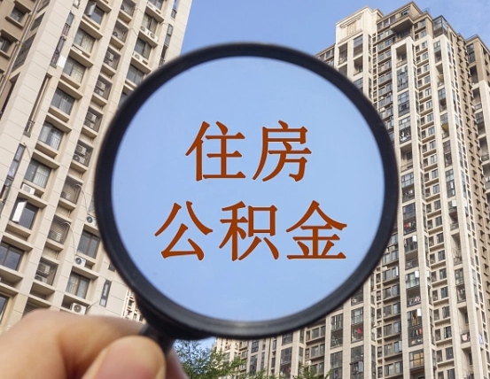海口退休后查不到公积金明细了吗（退休后公积金查询不到原因）